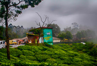 Munnar