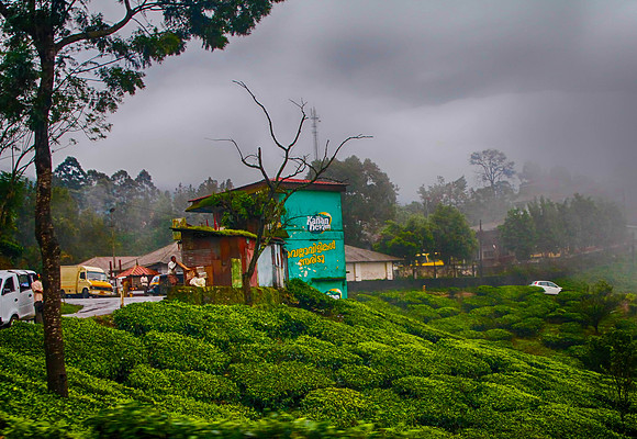 Munnar