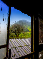Window of Opportunity