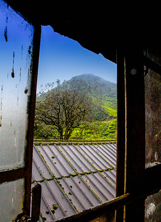 Window of Opportunity