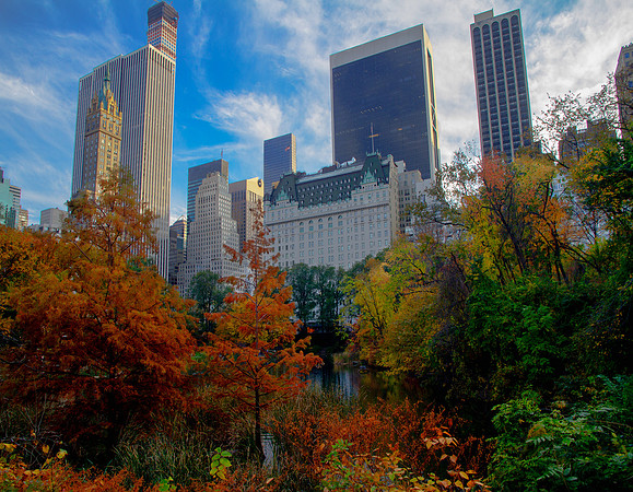 FALL in Central