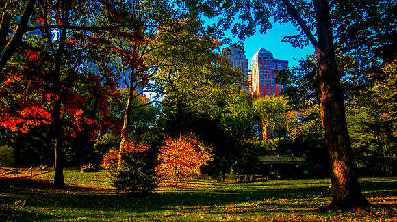 Colors of Central Park