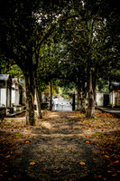 Dead Ends