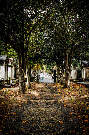 Dead Ends