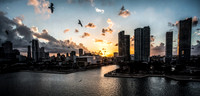Miami Swank