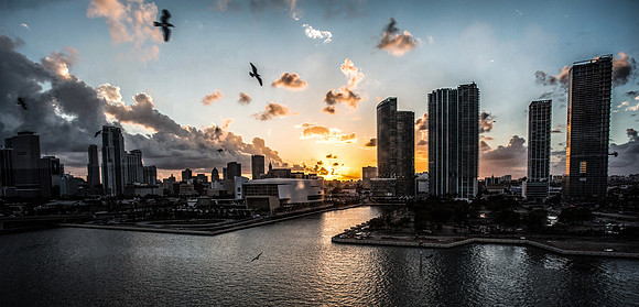 Miami Swank