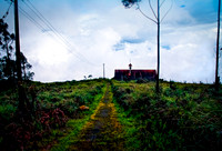 Road to Clouds