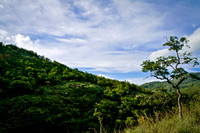 Valley of Elephants