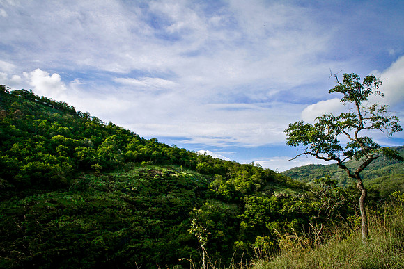 Valley of Elephants